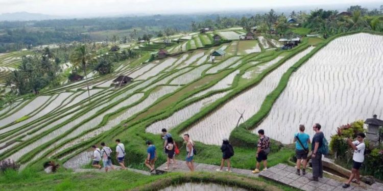 Kemenpar Diminta Siapkan Blue Print untuk Desa Wisata Penerima Penghargaan Dunia