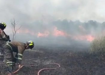 UPTD Damkar Tanjung Uban Padamkan Kebakaran Lahan Seluas Lima Hektare