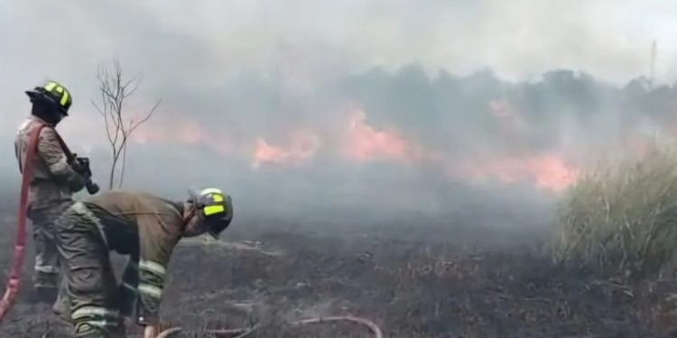 UPTD Damkar Tanjung Uban Padamkan Kebakaran Lahan Seluas Lima Hektare