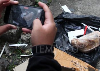 Teror Kepala Babi Terhadap Tempo, Pengamat: Jika Tak Diusut, Publik Bisa Curiga