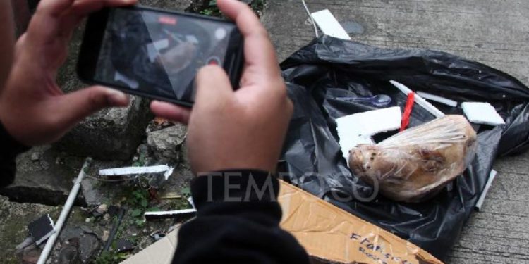 Teror Kepala Babi Terhadap Tempo, Pengamat: Jika Tak Diusut, Publik Bisa Curiga