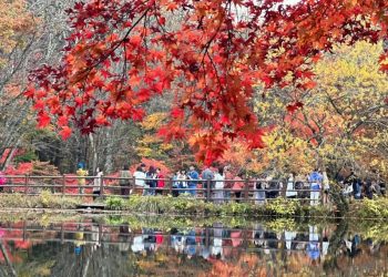 Taman Hiburan Bertema Hutan di Okinawa Jepang Siap Tarik Wisatawan Mulai Juli 2025