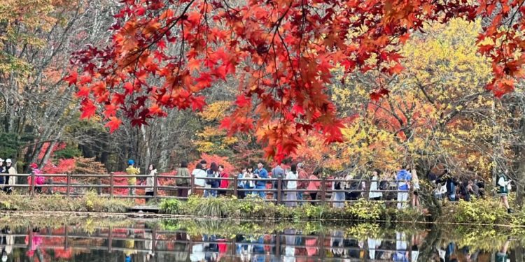 Taman Hiburan Bertema Hutan di Okinawa Jepang Siap Tarik Wisatawan Mulai Juli 2025