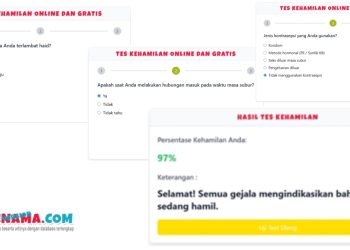 Cara Mengecek Kehamilan secara Online dan Tanpa TestPack