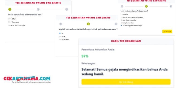 Cara Mengecek Kehamilan secara Online dan Tanpa TestPack
