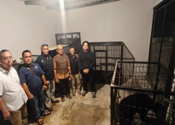 Pelihara Satwa Dilindungi, Pria di Kulonprogo Diciduk Polda DIY