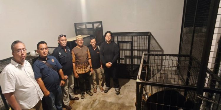 Pelihara Satwa Dilindungi, Pria di Kulonprogo Diciduk Polda DIY