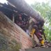 Diterjang Angin Kencang, Dua Rumah dan Gedung SD di Sleman Rusak Tertimpa Pohon