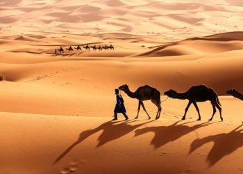 WNI Meninggal Dunia Saat Coba Masuk Makkah Secara Ilegal Lewat Gurun, Dua Lainnya Selamat