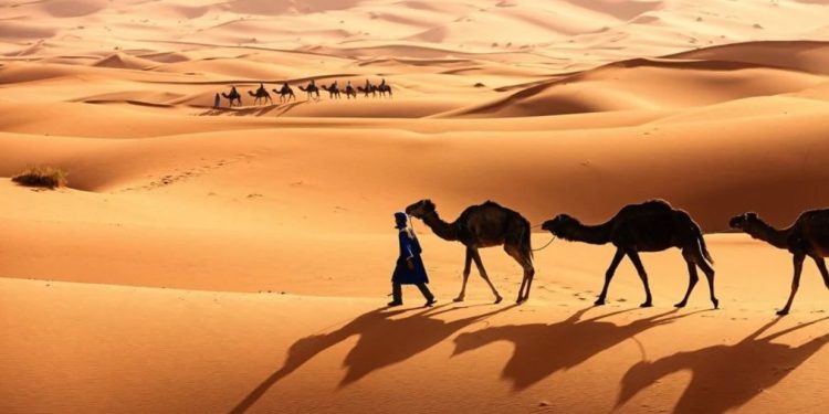 WNI Meninggal Dunia Saat Coba Masuk Makkah Secara Ilegal Lewat Gurun, Dua Lainnya Selamat