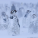 National Geographic/Bertie Gregory/Handout via REUTERS