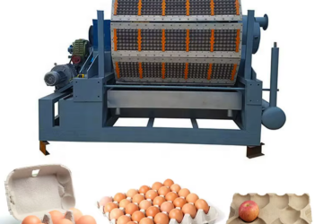 Peluang Emas di Balik Limbah Kertas, Mesin Ini Bantu Peternak Tekan Biaya Rak Telur