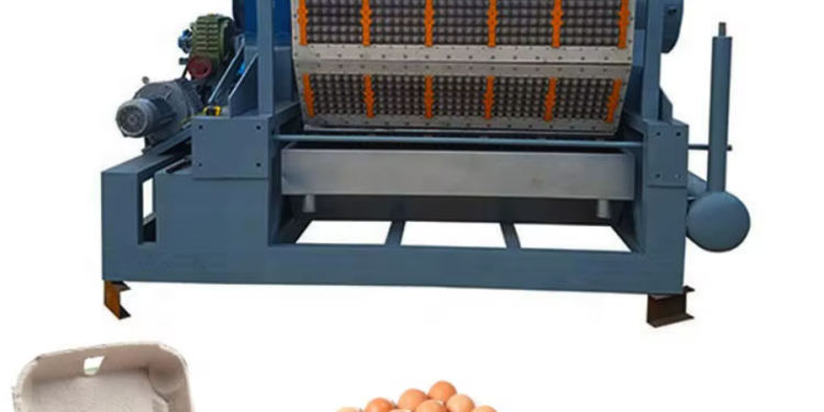 Peluang Emas di Balik Limbah Kertas, Mesin Ini Bantu Peternak Tekan Biaya Rak Telur