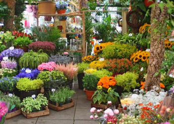 Pesona Industri Kreatif Florist: Bunga sebagai Ekspresi Cinta dan Kehidupan