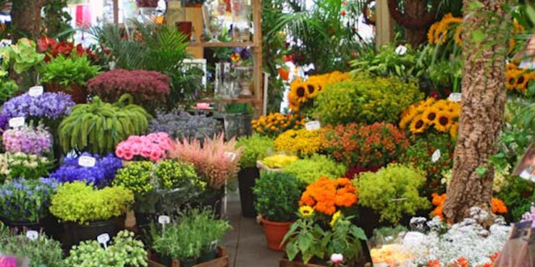 Pesona Industri Kreatif Florist: Bunga sebagai Ekspresi Cinta dan Kehidupan