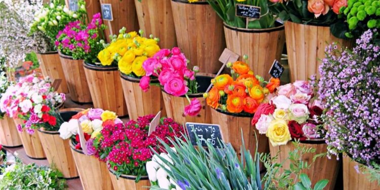 Keindahan Bunga yang Tak Lekang oleh Waktu Menemani Setiap Momen Kehidupan