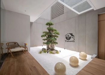 Cara Merawat Taman di Halaman Rumah agar Tetap Hijau dan Terawat Sepanjang Waktu