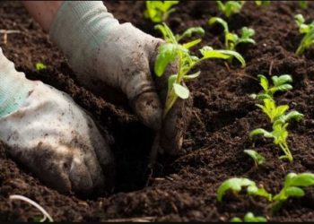 Inovasi Hijau Kota Blitar Menuju Lingkungan Bersih dan Berkelanjutan